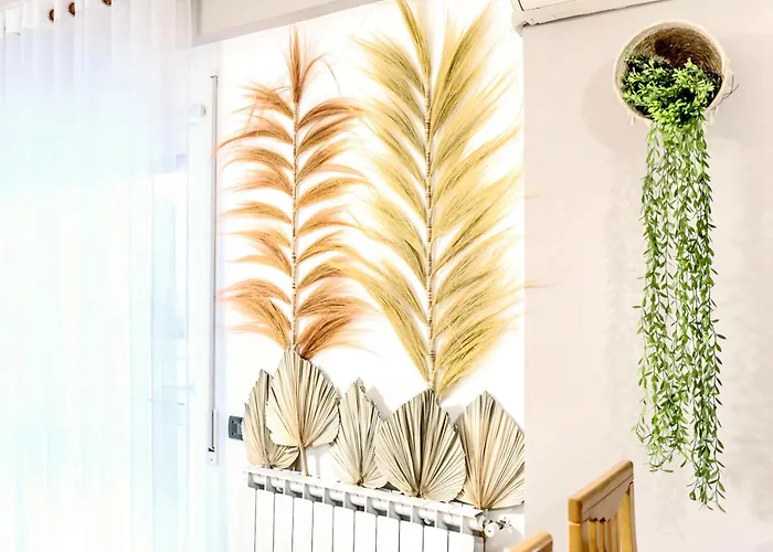 Premium , Marina , Center , Beachfront Appartamento *